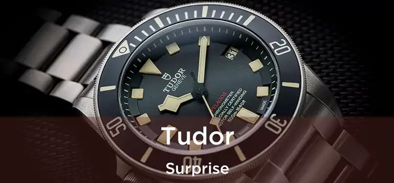 Tudor Surprise