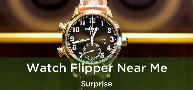 Watch Flipper Near Me Surprise